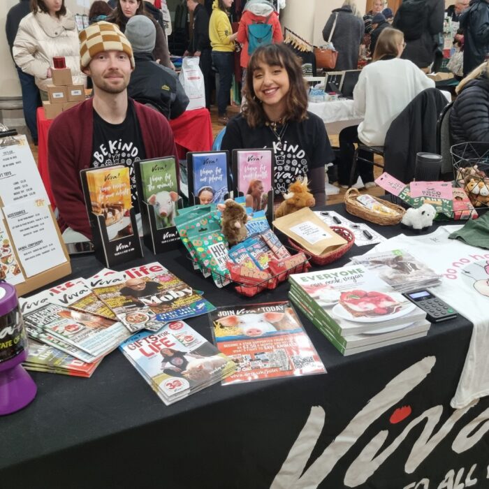 Art, prints and illustrations (Gloucester)